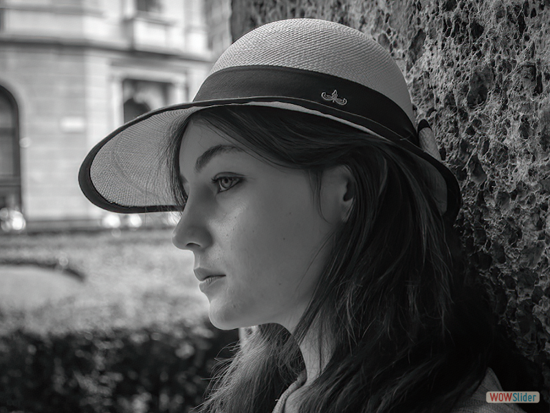 Panama Hatters