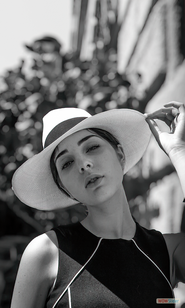 Panama Hatters