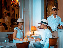 Panama Hatters