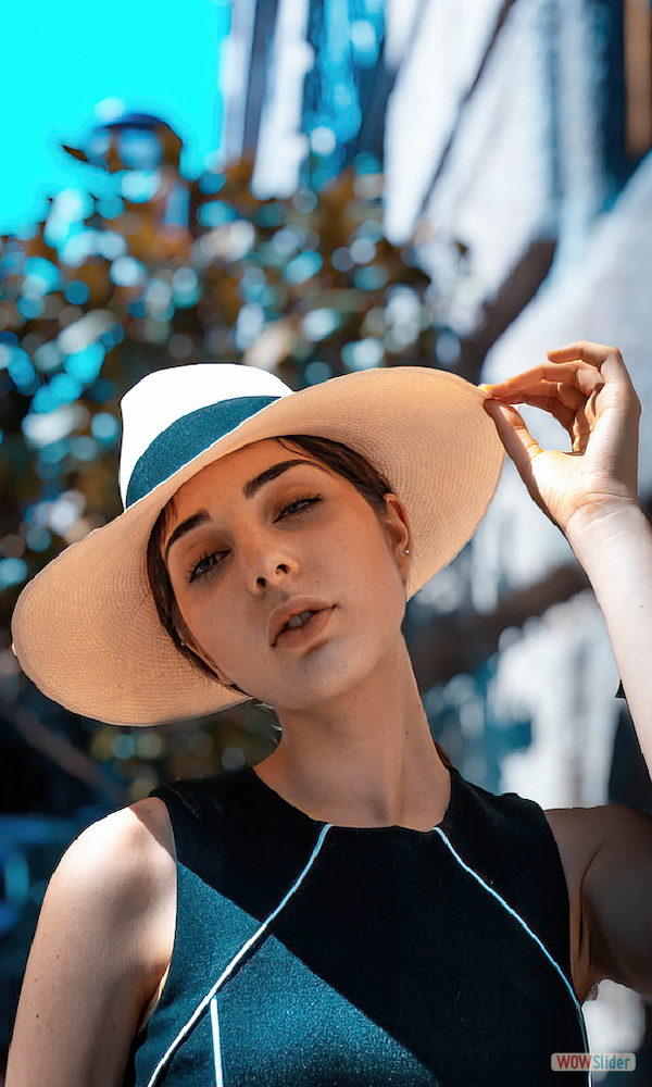Panama Hatters