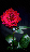 Red Rose